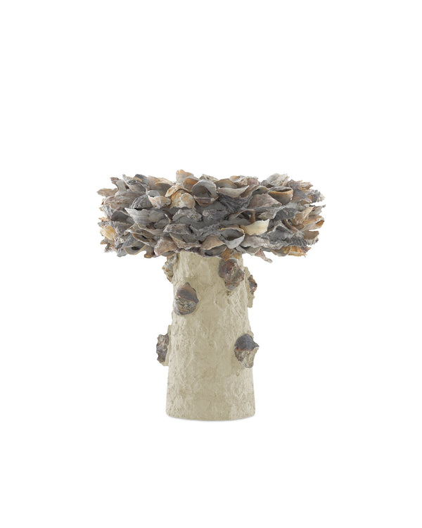 Currey & Company Oyster Shell Inspired Concrete Bird Bath Handcrafted Sculptural Garden Accent Outdoor 1200-0052