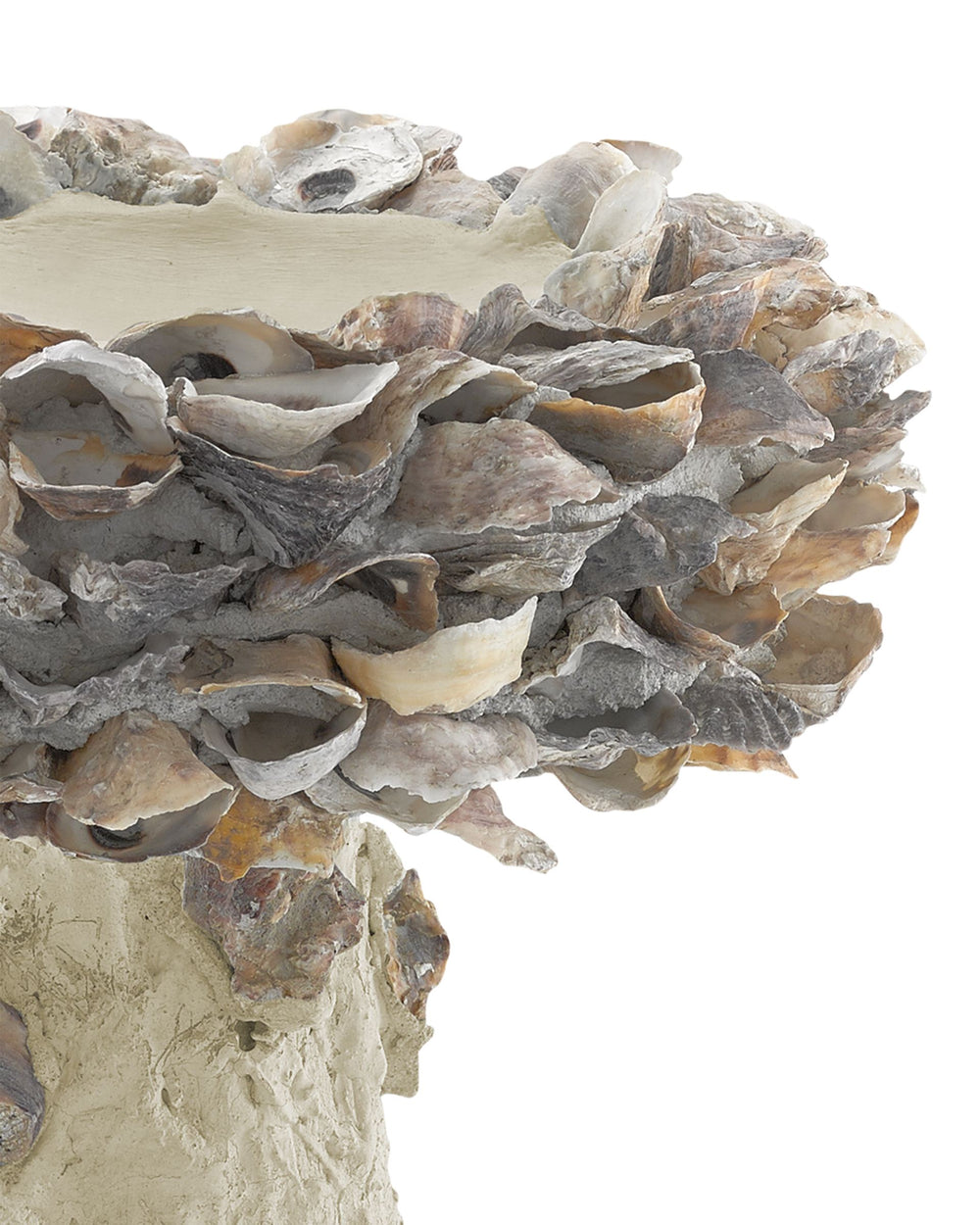 Currey & Company Oyster Shell Inspired Concrete Bird Bath Handcrafted Sculptural Garden Accent Outdoor 1200-0052