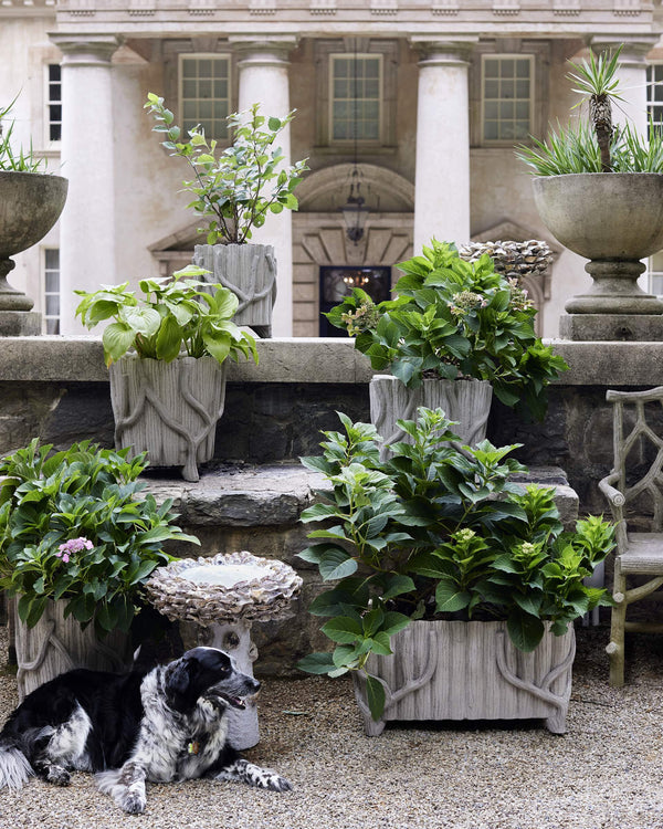 Currey & Company Oyster Shell Inspired Concrete Bird Bath Handcrafted Sculptural Garden Accent Outdoor 1200-0052