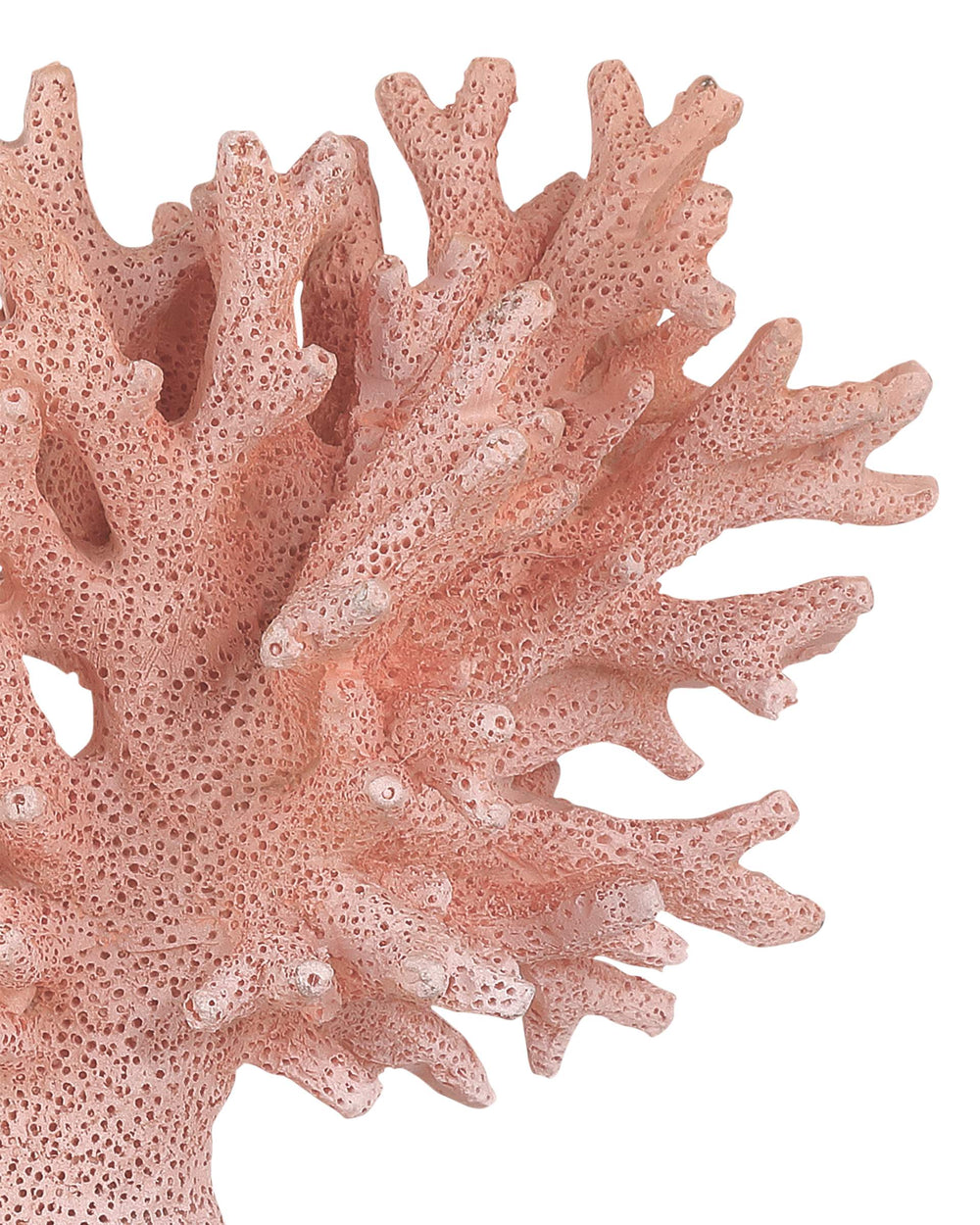 Currey & Company Fire Coral Reef Sculpture Set Coastal Accent Pieces on Clear Acrylic Bases 1200-1082