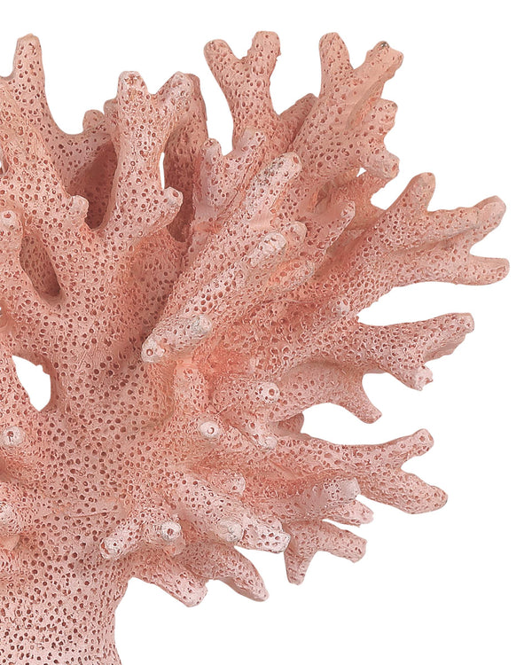 Currey & Company Fire Coral Reef Sculpture Set Coastal Accent Pieces on Clear Acrylic Bases 1200-1082