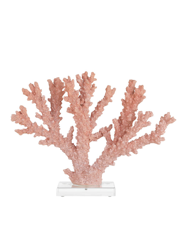 Currey & Company Fire Coral Sculpture with Acrylic Base Organic Coastal Branch Form for Shelf or Console 1200-1083