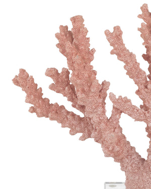 Currey & Company Fire Coral Sculpture with Acrylic Base Organic Coastal Branch Form for Shelf or Console 1200-1083