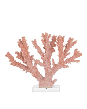 Currey & Company Fire Coral Sculpture with Acrylic Base Organic Coastal Branch Form for Shelf or Console 1200-1083