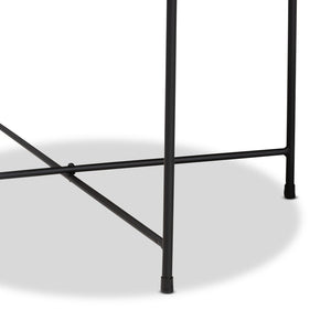 Baxton Studio Baxton Studio Modern Black Metal Plant Stand - Stylish Accent Table for Indoor & Outdoor Use H01-102573 Metal Plant Stand