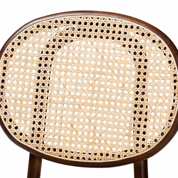 Baxton Studio Baxton Studio Garold Mid-Century Cane Dining Chairs Set - Stylish Brown Rattan & Beech Wood Design C19-Walnut-Beechwood/Rattan-DC