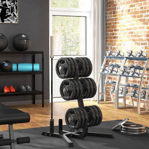 English Elm Soozier Olympic Weight Tree with Six Plate Posts Three Bar Holders Steel Frame Gym Black W2225P217795