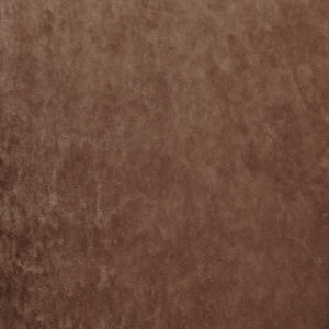 New Pacific Direct Lauryn Velvet Dining Side Chair Dainty Brown 23.5 x 23.5 x 29.5