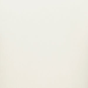 New Pacific Direct Lauryn Velvet Dining Side Chair Dainty Cream 23.5 x 23.5 x 29.5