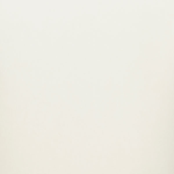 New Pacific Direct Lauryn Velvet Dining Side Chair Dainty Cream 23.5 x 23.5 x 29.5