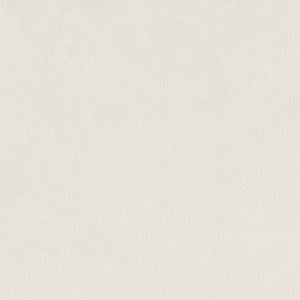 Alder Velvet Dining Side Chair - Set of 2 Zen Cream, Beige 1250063-643 New Pacific Direct