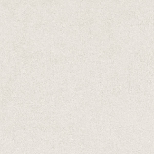 Alder Velvet Dining Side Chair - Set of 2 Zen Cream, Beige 1250063-643 New Pacific Direct