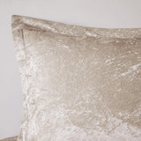 Intelligent Design Felicia Glam/Luxury Velvet Comforter Set with Throw Pillow ID10-2402 Champagne