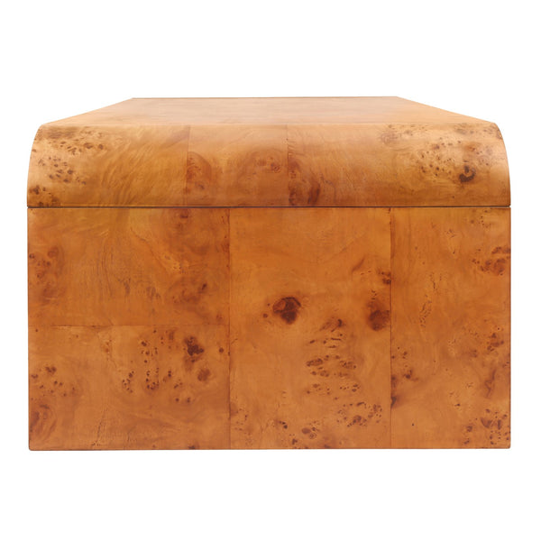 New Pacific Direct Adriel Burl Wood Coffee Table – Stunning Natural Beauty With Unique Patterns For Modern Sophistication Golden Brown Burl  1270012-go-npd
