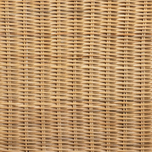 Baxton Studio bali Shamara Modern Bohemian Dining Chair - Handcrafted Rattan & Mahogany for Stylish Comfort DC9001-Rattan-DC