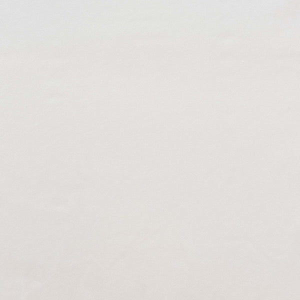 Baxton Studio bali Argos Modern Bohemian Rattan Dining Chair Set - 2-Piece Natural Brown Comfort & Style Argos-Rattan-DC