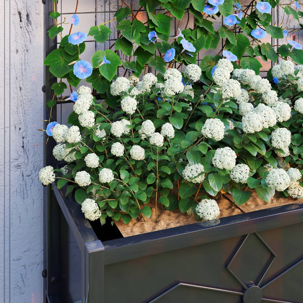 English Elm Outsunny Galvanized Steel Raised Planter with Built-in Trellis for Vertical Garden Growth W2225P485599