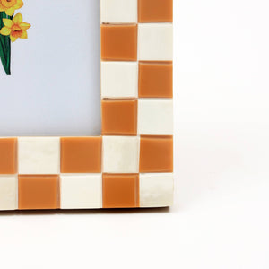 English Elm Decorative Handcrafted Bone Resin Checkered Photo Frame, 4"X6" - Chic Tabletop Accent & Gift Idea B346P336808