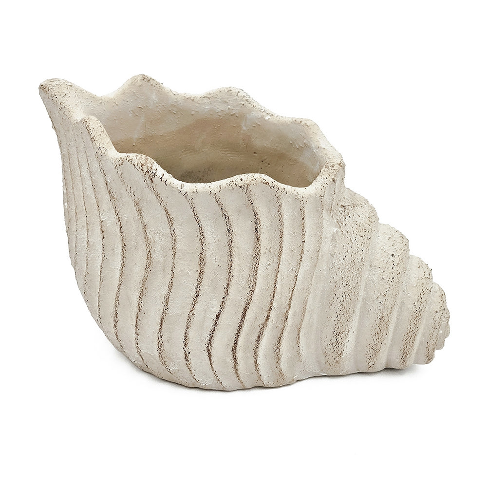 English Elm 11.5x7x7" Nautilus Shell Planter in Textured Sandy Beige — Coastal Conch Design for Succulents, Herbs, Décor W2078P334252