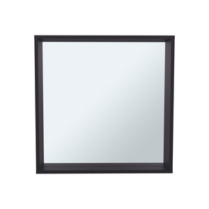 English Elm Dakota Wall-Mounted Medicine Cabinet with Mirror and Shelves, Black Engineered Wood Organizer B200P362002