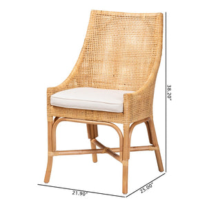 Baxton Studio bali Bella Modern Bohemian Rattan Dining Chair – Handcrafted, Comfortable, and Stylish for All Interiors Bella-Rattan-DC