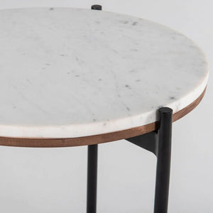 English Elm Modern Indian Rosewood Square Coffee Table with Matte Black Steel Base for Loft Living B346P320751