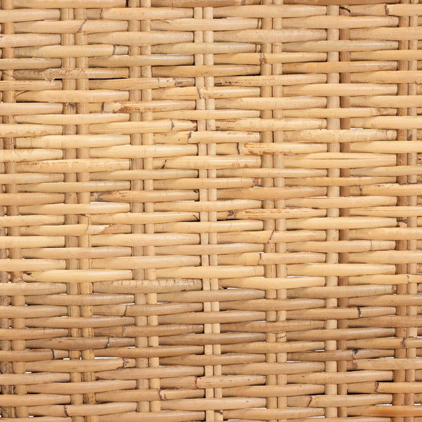 Baxton Studio bali Bali Dermot 2-Piece Dining Chair Set - Modern Bohemian Dark Brown Mango Wood & Natural Rattan Charm MD39507-Mango Wood-DC