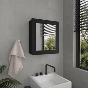 English Elm Luma Mirrored Medicine Cabinet 18.6" W x 5.7" D x 20.5" H Wall Organizer with Two Shelves, Sleek Durable Design Black 24.9 L x 20.1 W x 4 H B070P234355
