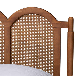 Baxton Studio Baxton Studio Thatcher Queen Platform Bed - Mid-Century Walnut Wood with Woven Rattan Accents MG0211-Walnut-Queen
