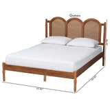 Baxton Studio Thatcher Mid-Century Modern Walnut Brown Finished Wood Queen Size Platform Bed with Woven Rattan