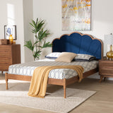 Baxton Studio Hadria Mid-Century Modern Navy Blue Velvet and Walnut Brown Finished Wood Queen Size Platform Bed