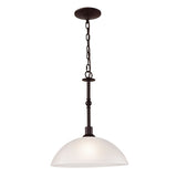 Jackson 14'' Wide 1-Light Pendant - Oil Rubbed Bronze 1351PL/10 Thomas