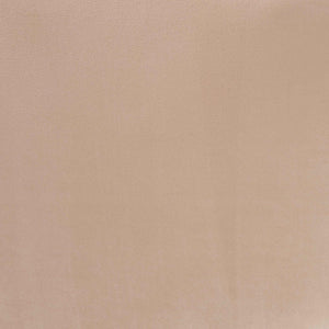 Baxton Studio Baxton Adanna Luxe Champagne Beige Velvet Sofa - Glamorous Design with Plush Comfort & Style TSF-7019-Beige Velvet-Sofa