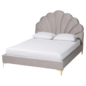 Baxton Studio Baxton Studio Acosta Glam Queen Platform Bed in Light Grey Velvet with Seashell Headboard Design CF9434-Light Grey-Queen