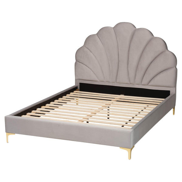 Baxton Studio Baxton Studio Acosta Glam Queen Platform Bed in Light Grey Velvet with Seashell Headboard Design CF9434-Light Grey-Queen