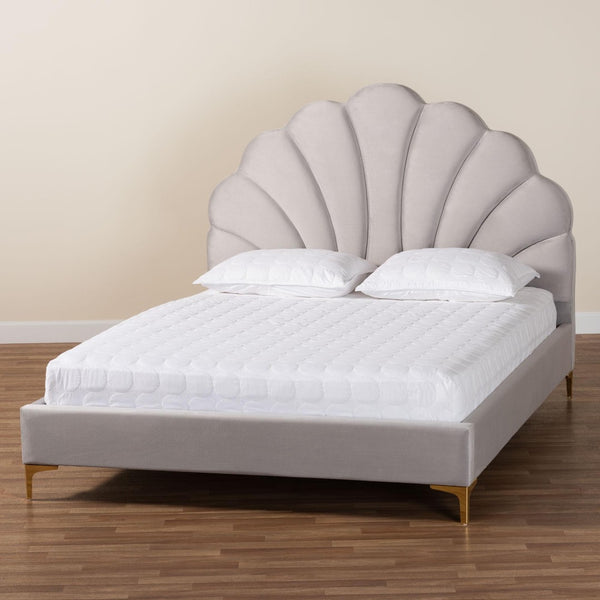 Baxton Studio Baxton Studio Acosta Glam Queen Platform Bed in Light Grey Velvet with Seashell Headboard Design CF9434-Light Grey-Queen