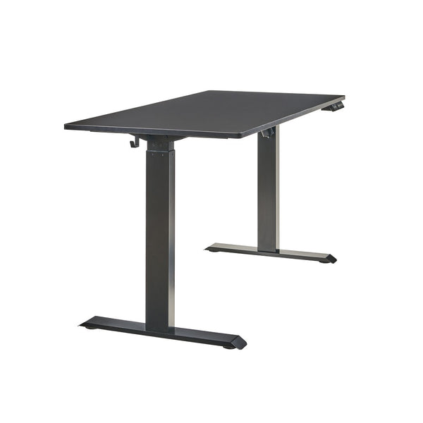 English Elm Electric Sit Stand Desk with Steel Frame Seamless Top for Home Office Productivity W1769P498649