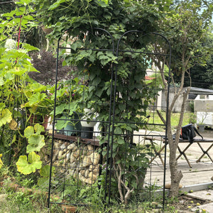 English Elm Metal Garden Trellis Set - Durable 2-Piece Climbing Plant Support For Stylish Indoor/Outdoor Decor W840P321536