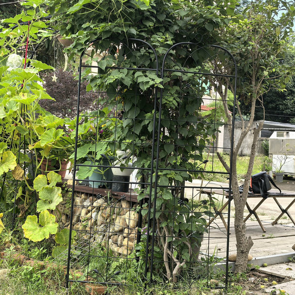 English Elm Metal Garden Trellis Set - Durable 2-Piece Climbing Plant Support For Stylish Indoor/Outdoor Decor W840P321536