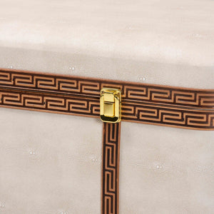 Baxton Studio Baxton Modern Transitional Beige Faux Shagreen Storage Trunk with Lift-Top for Stylish Organization JY24A092-Large-Beige/Shagreen-Storage Ottoman