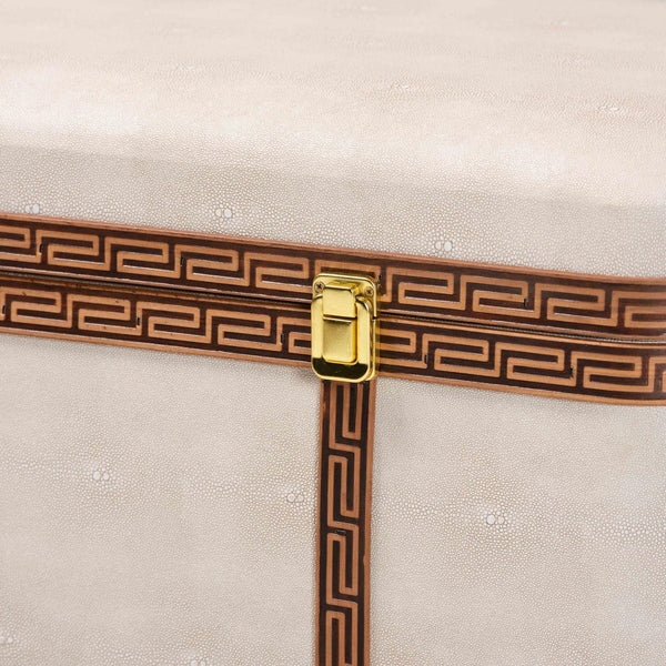 Baxton Studio Baxton Modern Transitional Beige Faux Shagreen Storage Trunk with Lift-Top for Stylish Organization JY24A092-Large-Beige/Shagreen-Storage Ottoman