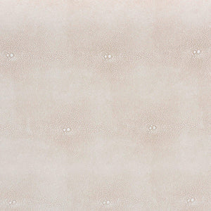 Baxton Studio Baxton Modern Transitional Beige Faux Shagreen Storage Trunk with Lift-Top for Stylish Organization JY24A092-Large-Beige/Shagreen-Storage Ottoman