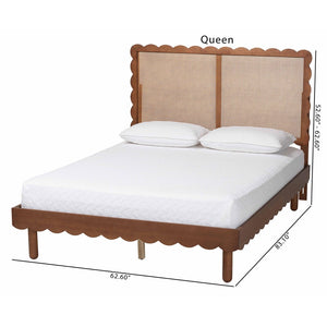 Baxton Studio Baxton Orianthe Scalloped Platform Bed - Solid Wood Frame with Woven Rattan Headboard, Queen Size MG9811/0245-Walnut Rattan-Queen