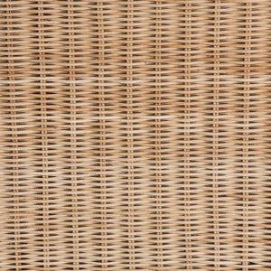 Baxton Studio bali Caden Braided Natural Rattan Lift-Top Chest - Stylish Coastal Boho Storage & Seating Solution WS128-Natural Rattan-Storage Bench