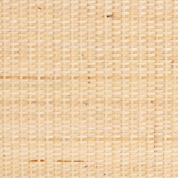 Baxton Studio bali Acelin Handcrafted Rattan Storage Cabinet - Boho Chic Console with Floral Doors for Stylish Living WS016-Large/Double Version-Natural-Rattan-Cabinet