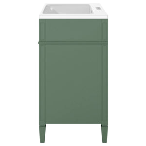 English Elm 30'' Bathroom Vanity Set With Mirror, Modern Freestanding Storage, 2 Drawers & Tip-Out Organizer SW000127AAF-3
