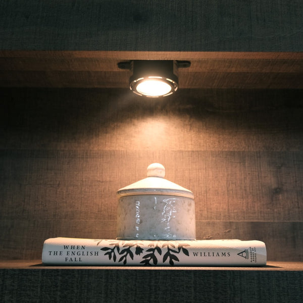 English Elm Wallace & Bay - Brown Queen Bookcase Bed - Modern Style With Storage Headboard, Penny-Brown Finish For Your Bedroom B361S00014-GIGA