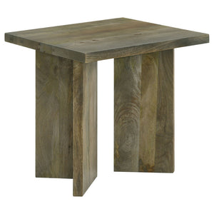 English Elm Neskowin Solid Mango Wood Living Room Coffee and End Table Set with Geometric Panels B062S01397