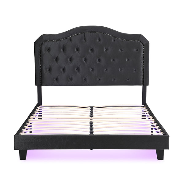 English Elm Upholstered Diamond Button Tufted Platform Bed with Velvet, LED Ambient Lighting, Sturdy Slats Black 65.75 L x 34.43 W x 4.72 H W2297P268385