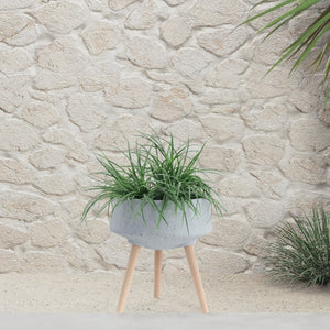 English Elm S/2 Terrazzo Magnesia Planters with Wood Legs for Modern Indoor Outdoor Decor B079106820